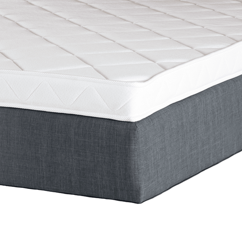 basis-soft-1